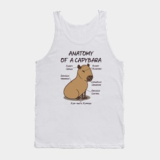 Funny Anatomy of A Capybara Tank Top